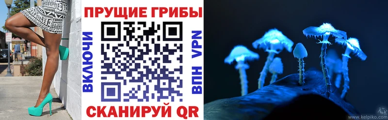 Псилоцибиновые грибы ЛСД где найти наркотики кракен ссылки Сунжа